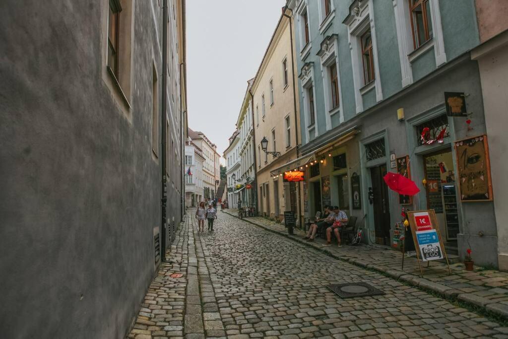 Cozy Apartment In The Heart Of The Historic City Bratislava Ngoại thất bức ảnh